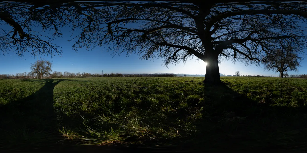 A 360° panorama.